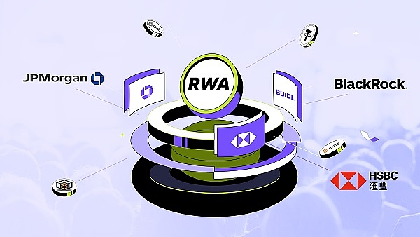 RWA创业者的血泪史：当传统金融遇上区块链的碰撞