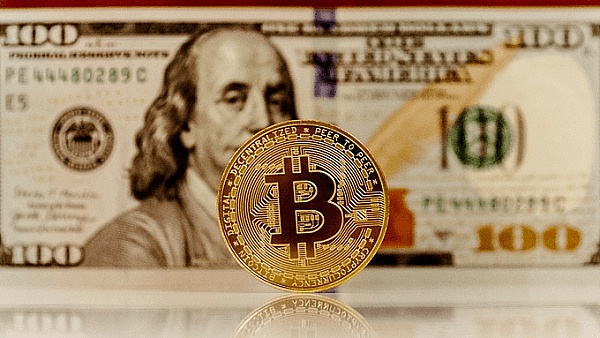 Web3宠物社交赛道迎来重磅玩家：Blockchain Capital豪掷千万押注PetCat
