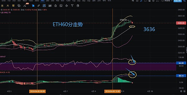 BNB机构化浪潮来袭：普通投资者如何搭上这班财富快车