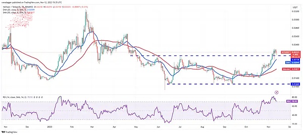 Zora网络：NFT玩家的性价比之选